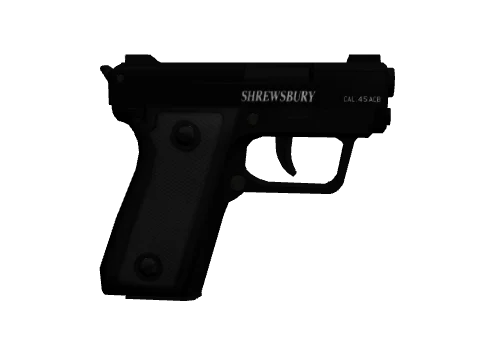 SNS Pistol
