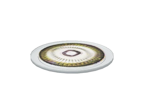xm3_int1_light_ceiling_22_07, a GTA V map model