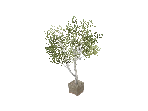 xm3_prop_xm3_prop_tree_01a