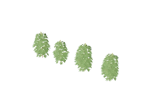 xm3_prop_xm3_weed_set_01a