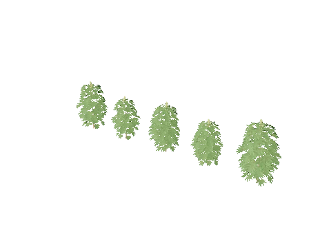 xm3_prop_xm3_weed_set_01b