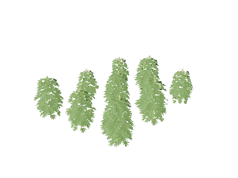 xm3_prop_xm3_weed_set_01c