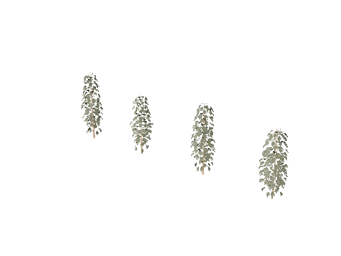 xm3_prop_xm3_weed_set_02a