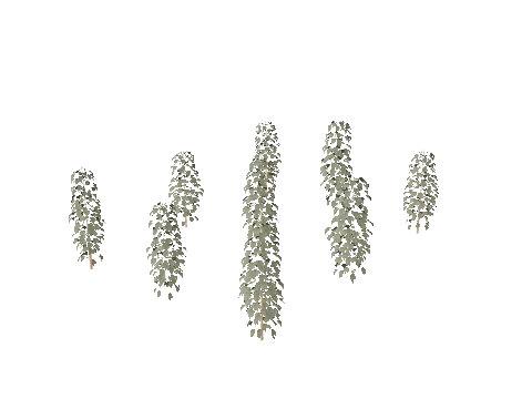 xm3_prop_xm3_weed_set_02c