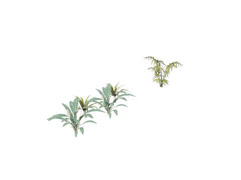 xm_lab_plants006, a GTA V map model