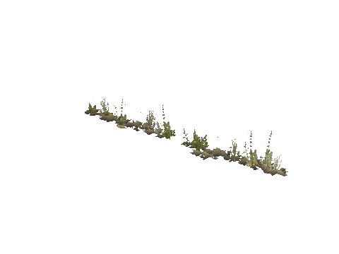xs_terrain_prop_weeddry_nxg01