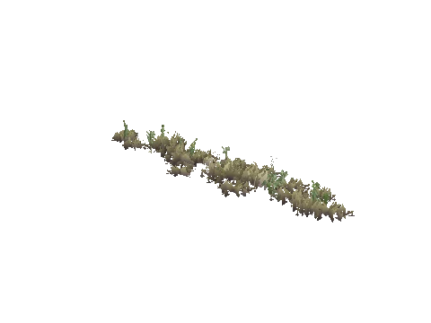 xs_terrain_prop_weeddry_nxg03