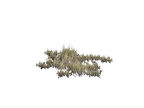 xs_terrain_prop_weeddry_nxg04