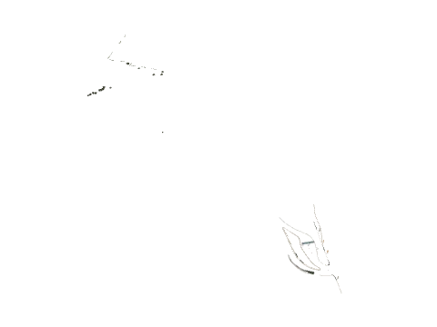 ch1_01_strm_6, a GTA V map file (IPL)