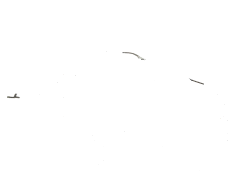cs6_roads_strm_0, a GTA V map file (IPL)