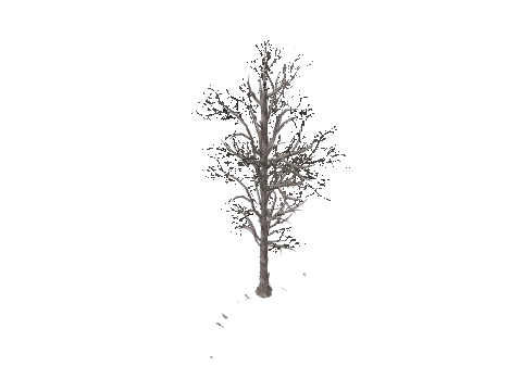 des_protree_end, a GTA V map file (IPL)