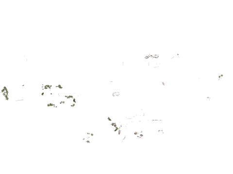 h4_islandxtower_veg, a GTA V map file (IPL)