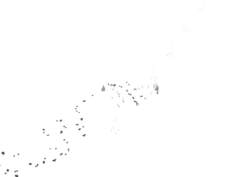 prologue01d, a GTA V map file (IPL)