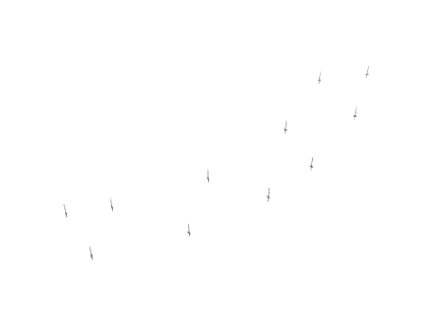 sp1_10_critical_0, a GTA V map file (IPL)