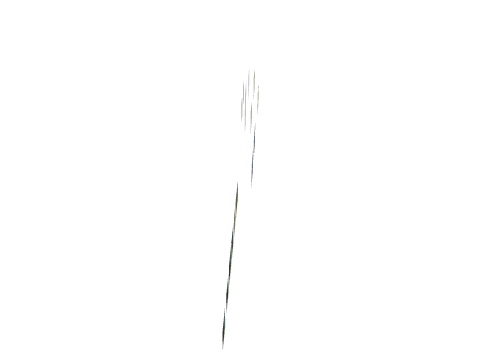 vb_30_night_shutter_lod, a GTA V map file (IPL)